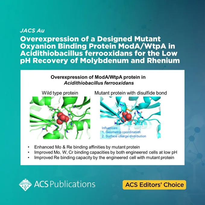 ACS Editor's Choice